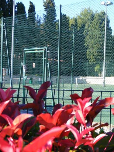 Courts de tennis fleuris